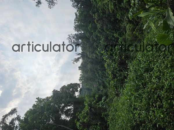 Test Auction (#1)